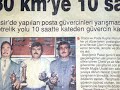 kelebek güvercinler balikesir nevzat