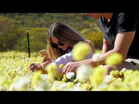 The 2019 Western Australian Wildflower Season has started
