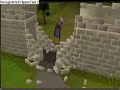 runescape money making tips