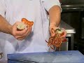 Elke week maakt chefkok Marco Poldervaart van restaurant de Gastronoom in Harlingen een heerlijk gerecht op GPTV. In deze aflevering maakt Marco voor u... Kreeft