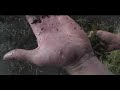 Trout Bum Diaries : Patagonia