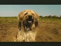 Komtel Ad Video viewed 735 times was previous video, click to view