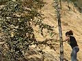 cuesta arriba