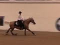 Hollywood Playboy HAHR342680, Arabian Youth Nationals, Half-Arabian Reining JTR