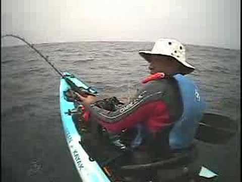 ManHandles Mako on Kayak by jceviche
