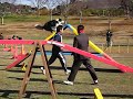 MVI 0974 MVI 0974