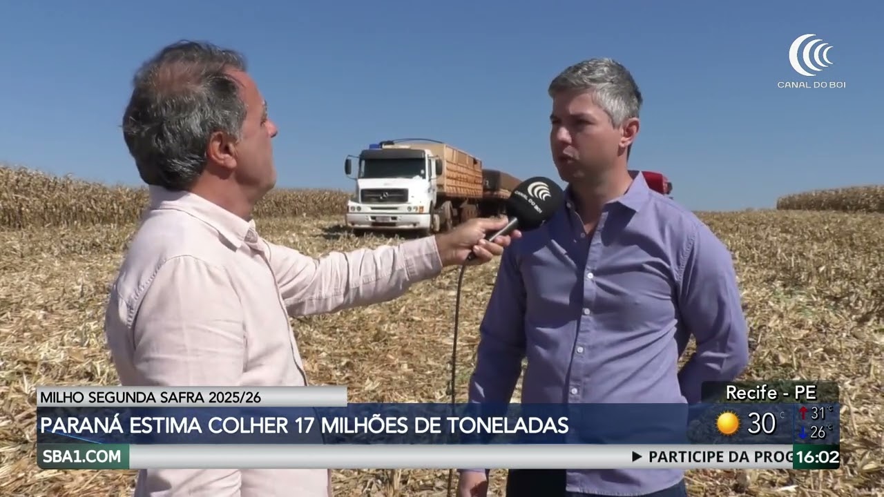 Paraná deve colher 17 milhões de toneladas de milho na segunda safra da temporada 2025/26