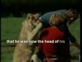 videos de Sapien Leo Reunion