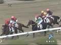 2009年12月26日 阪神4R 障害未勝利 マイネルアルセーヌ