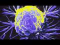 Nanotechnology report (EMT)