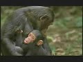 The Beautiful Planet Earth 2 (High Definition) The Beautiful Planet Earth 2 (High Definition)