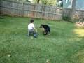 videos de recuerdos de narvel 087