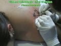 TaToo