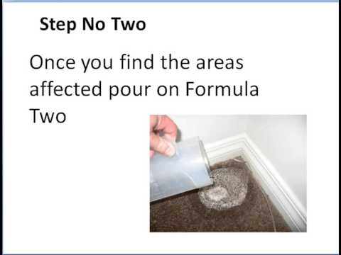 how to eliminate urine smell