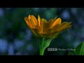 smooth jazz - bobby hutcherson - dance of the sun