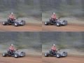 Bush-Gocarts