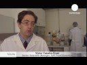 Los residuos de la producción vitÃcola como aditivo alimenticio Los residuos de la producción vitÃcola como aditivo alimenticio