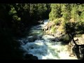 uponstockton calaveras big trees state park - YouTube