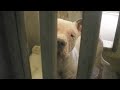 Carson Shelter 12-23-09 #A4069699