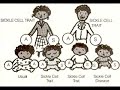 cord blood treatments   studies
