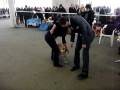 videos de FCI-CACIB Kyiv Cup 2008, P.3