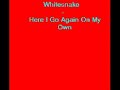 Whitesnake- Here I go again on my own