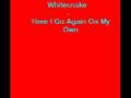 Whitesnake- Here I go again on my own videos
