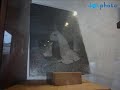 This video shows an October 2008 visit to St. Therese's Carmelite convent in Lisieux,France. It re-opened in May 2008 after remodeling and construction. At the time of my visit, St. Therese's hair was not on display in the relic room.
One of the interesting things newly on display is the costume of Joan of Arc that Therese wore for the play that she wrote. A pitchfork from the time period was added to the display of the garden tools. Also Therese's habit was displayed in a manner different from before so that one can see where the crucifix from her profession is carried.