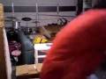 videos de 00G gerbil bond, quantum of gerbil