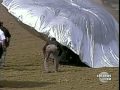 The Boy and the Balloon