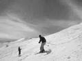 Verbogh On Snow