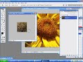 Intro PS Level 2 #1 Clone Tool and the Healing Brush Intro PS Level 2 #1 Clone Tool and the Healing Brush