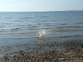 DSCF5162.AVI