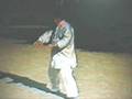 Yang Style Taiji / LaoLiuLu：Demo by Master Wei ShuRen