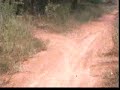 klx 250 int he woods home made 99 cent helmet cam klx 250 int he woods home made 99 cent helmet cam