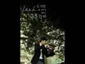 Wang Lee Hom Falling Leaf Returns To Root Official Music Video and Lyrics