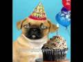 Pug Sings Happy Birthday - Hilariously Funny Dog Video Ecard
