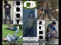 ALGERIAN BBOY (BBOY bahdja and BBOY zinou trailer 2007)