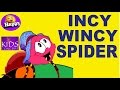 INCY WINCY SPIDER