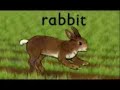 Run rabbit Run rabbit