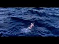minissha lamba in white bikini video
