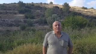 بستان عائلة أبو السمن في أم الدفوف