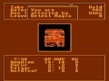 i wish i could steal things in games that have thieves. maybe next time, cyrus. i would probably like this game if the battle system wasn't one of those that takes ten decades to finish a fight. it's not so much that it's bad, i just prefer other things. might and magic, for example.