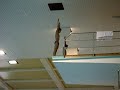 diving/springen diving/springen