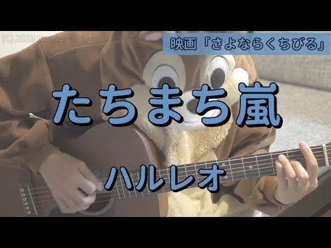 動画
