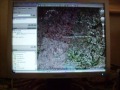 Slackware 12 + Beryl 2
