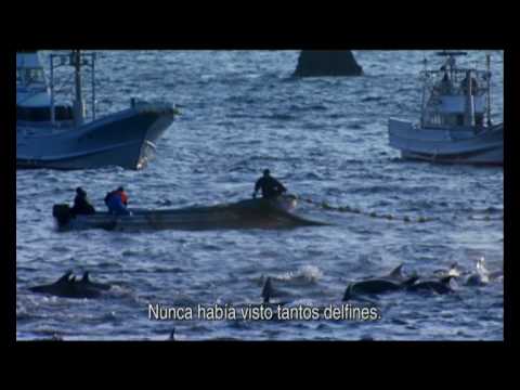 Imagen de previsualización de YouTube