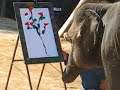 an elephant painting