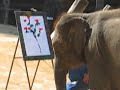 an elephant painting