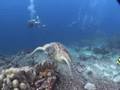 シネマフォト「アミューズメントパークにて」海の映像編